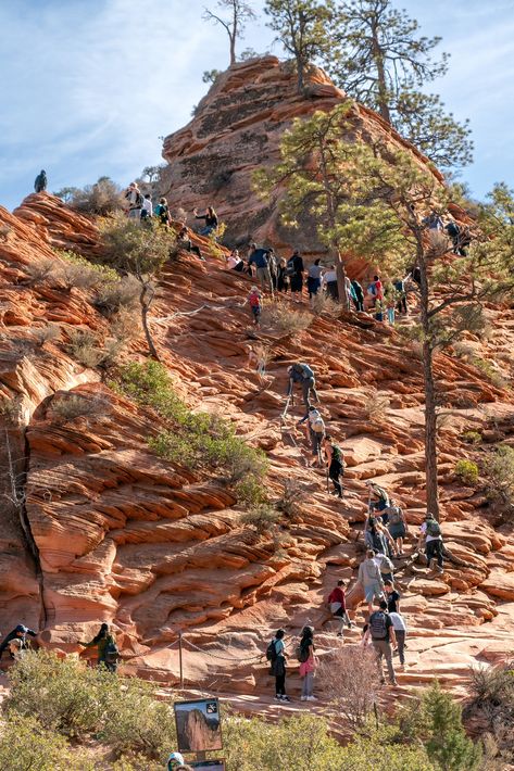 Angels Landing - November 2021 Angles Landing Zion, Zion Park, Ken Burns, Online Lottery, Angels Landing, January 3, Park Homes, National Park Service, Travel Planning