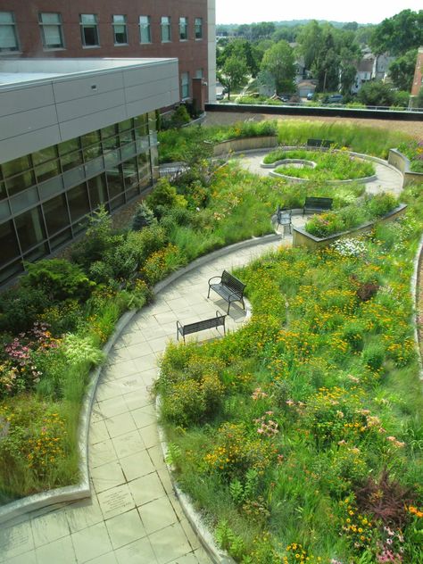 Healing Garden Design Hospital, Hospital Landscape Design, Hospital Garden, Brick Patterns Patio, Hospital Architecture, Perennial Grasses, Prairie Garden, Healing Garden, Areas Verdes