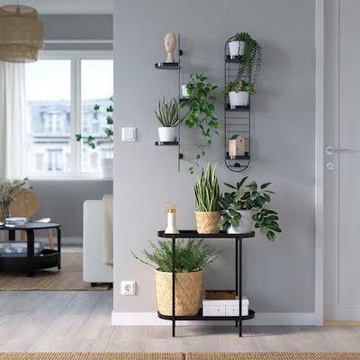 Search - IKEA Small Corner Decor, Wall Mounted Plant Holder, Wall Plants Indoor, Cosy Rooms, Ikea Plants, Indoor Plant Display, Declutter Bedroom, Indoor Plant Wall, Ikea Wall