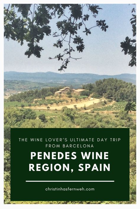 Day Trips From Barcelona, Trips From Barcelona, Rioja Wine, Rioja Spain, Spain Travel Guide, On The Train, Travel Spain, Wine Travel, Wine Tour