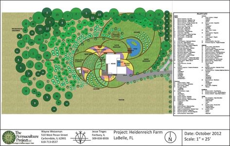 Farm Date, Farm Plans, Farm Layout, Dream Landscape, Permaculture Gardening, Permaculture Design, Garden Design Layout, Landscape Design Plans, Edible Landscaping