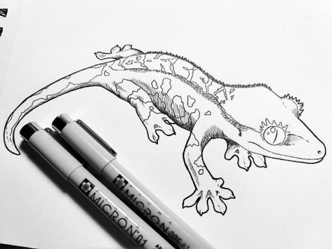 Gecko Drawing Reference, Gecko Sketch, Crested Gecko Drawing, Cute Snake Art, Gecko Drawing, Gecko Art, Lizard Tattoo, Line Doodles, Cute Snake