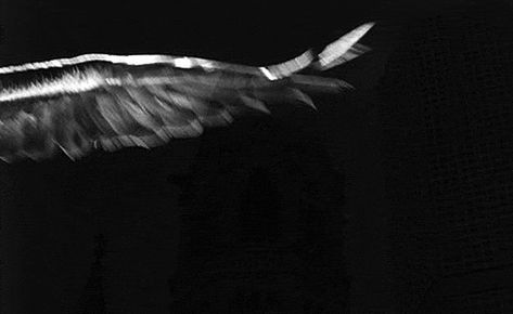 Hermes Wings, Wings Gif, Wing Movement, Angel Gif, Man Gif, Wings Of Desire, The Fallen Angel, Ange Demon, Gif Animated