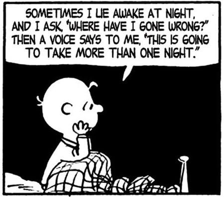 Sometimes I Lie Awake At Night Peanuts Quotes, Charlie Brown Quotes, Snoopy Funny, Snoopy Quotes, Snoopy Love, Comic Strip, Great Quotes, Charlie Brown, Wise Words