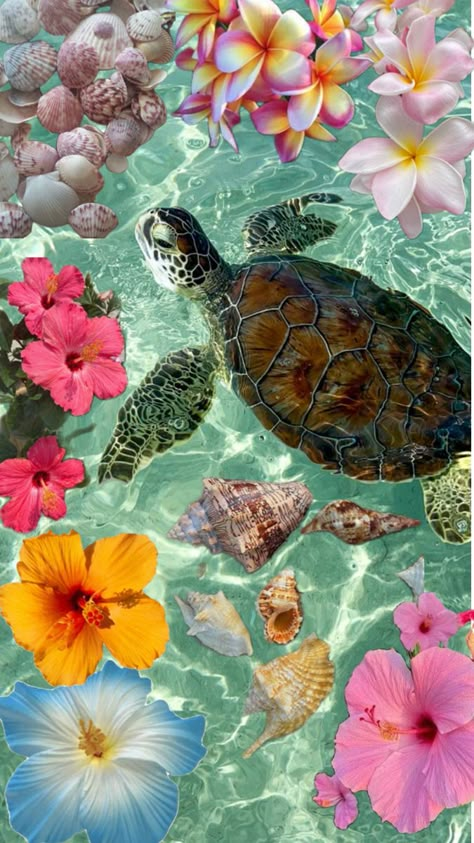 Sea Turtle Wallpaper, Summer Beach Wallpaper, Turtle Wallpaper, Cute Summer Wallpapers, Wallpaper Iphone Summer, Cute Turtles, Preppy Wallpaper, Beach Wallpaper, A Turtle