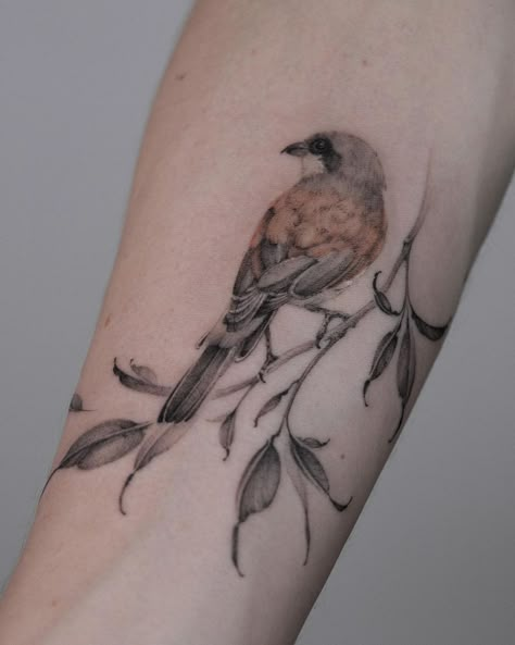 Bird Nature Tattoo, Colorful Sparrow Tattoo, Gray Jay Tattoo, Botanical Bird Tattoo, Bird And Branch Tattoo, Bird On Branch Tattoo, Sparrow Bird Tattoo, Simple Owl Tattoo, Single Tattoo