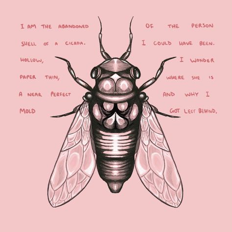 Sad cicada poem and big feelings Cicada Wallpaper, Cicada Quotes, Insects Quotes, Cicada Poem, Cicada Art Illustration, Lyric Inspiration, Cicada Art, Cicada Coming Out Of Shell, Cicada Molting