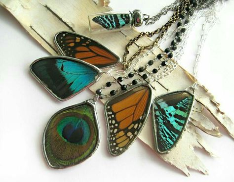 Seni Resin, Conservation Projects, Butterfly Wing Jewelry, Art Coquillage, Real Butterfly, Wing Jewelry, Resin Jewelry Diy, Stained Glass Jewelry, Epoxy Resin Crafts