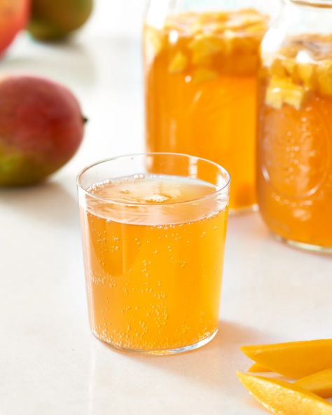 Recipe: Mango Kombucha | Kitchn Mango Kombucha, Kombucha Recipes, Best Kombucha, Mason Jar Recipe, Wine Snacks, Recipe Mango, Mango Tea, How To Brew Kombucha, Kombucha Recipe