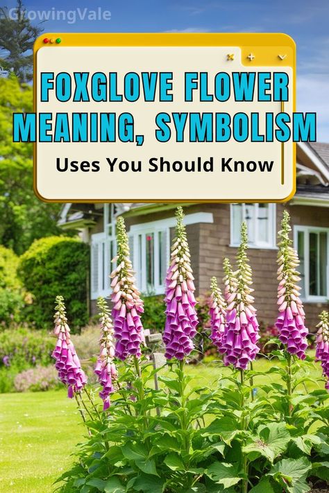 Foxglove Flower Meaning Foxglove Flower, Flower Meanings, Cottage Gardens, Different Cultures, Herbal Remedies, Cottage Garden, Flower Garden, Soil, Medicine