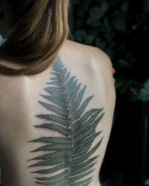 Sasha Vorobiova∣Tattoo artist on Instagram: “Fern leaf🌿 80% is healed” Fern Tattoo On Leg, Maidenhair Fern Tattoo, Fern Back Tattoo, Fern Leaf Tattoo, Back Of A Woman, Tattoo Pieces, Tattoo On The Back, Cute Halloween Tattoos, Floral Back Tattoos