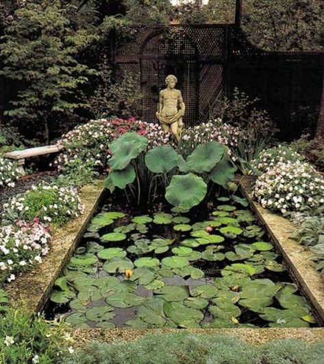 Have Inspiration, Water Features In The Garden, The Secret Garden, Garden Pond, House Exteriors, Ponds Backyard, Gorgeous Gardens, Shade Garden, Water Lilies