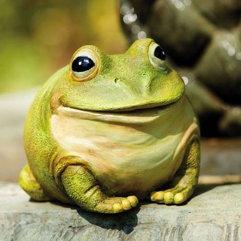 Evergreen Flag & Garden Portly Frog Statue #Statues Garden Frog Statue, Garden Frogs, Evergreen Garden, Frog Statues, Ceramic Frogs, Frog Decor, Frog Figurines, Outdoor Statues, Frog And Toad