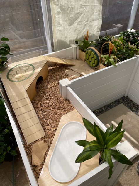 Turtle town Cool Tortoise Enclosure, Tortoise Home Ideas, Small Tortoise Habitat Indoor, Turtle Enclosure Ideas, Tortoise Table Indoor Diy, Indoor Tortoise Habitat, Tortoise Table Ideas, Turtle Homes Ideas Indoor, Hermann Tortoise Enclosure Indoor