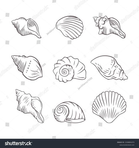 Find Seashell Drawing stock images in HD and millions of other royalty-free stock photos, illustrations and vectors in the Shutterstock collection. Thousands of new, high-quality pictures added every day. Shell Sketches Simple, Spiral Shell Drawing, Seashell Outline, Seashell Illustration Drawing, Seashell Line Drawing, Conch Shell Line Art, Seashell Drawing, Seashell Illustration, Seashell Tattoos