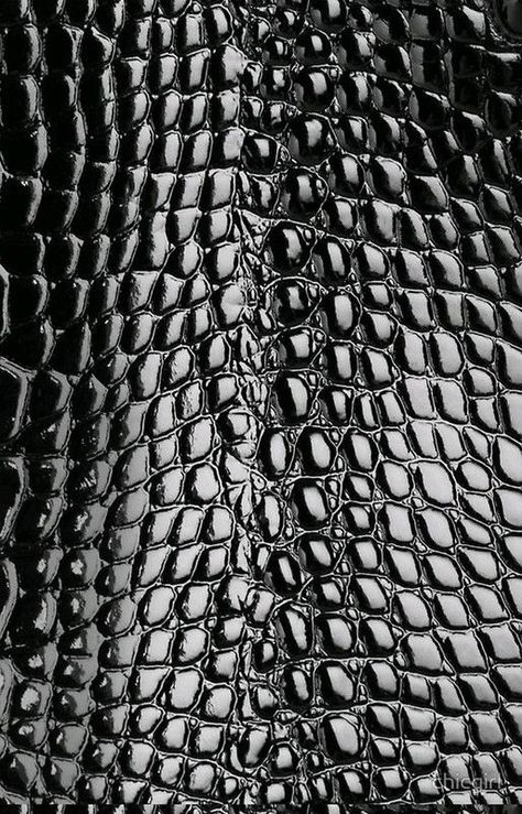 Look 80s, Texture Inspiration, Material Textures, 3d Texture, Materials And Textures, Black Textures, Animal Skin, Leather Texture, White Photo