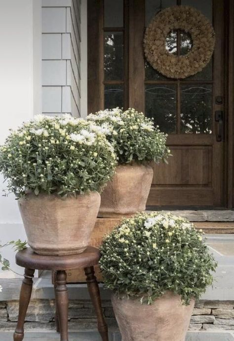 Front Porch Stone, Porch Plants, Porch Flowers, Porch Planters, Small Front Porches, Front Patio, Backyard Porch, Fall Front Porch, Front Porch Decorating