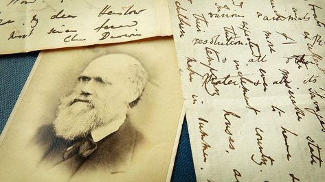 New light shed on Charles Darwin's 'abominable mystery' - BBC News Zheng He, Scientific Thinking, Origin Of Species, Famous Scientist, Theory Of Evolution, Walter Scott, Natural Selection, Historical Documents, Charles Darwin