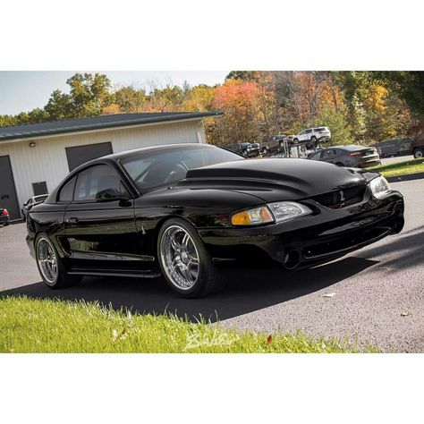 Double Hump Cowl Hood SN95 Ford Mustang 2002 Mustang Gt Custom, Sn95 Cobra Mustang, Cobra Jet Mustang, Ford Mustang Shelby Gt500 Super Snake, 2006 Mustang, Sn95 Mustang, New Edge Mustang, Mustang Art, 2012 Mustang Gt 5.0