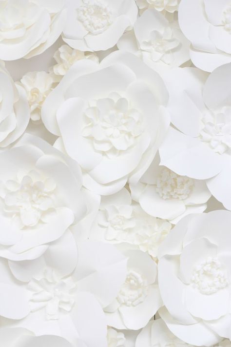 Blanco White, Bridal Shower Inspiration, Shower Inspiration, Paper Flower Backdrop, Simply White, Shades Of White, White Wallpaper, White Aesthetic, The Shape