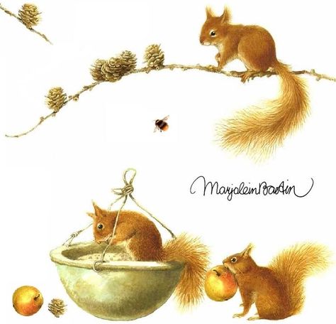 Squirrel Art, Animals Watercolor, Nature Sketch, Marjolein Bastin, Nature Artists, Dutch Artists, Woodland Creatures, Childrens Illustrations, Squirrels