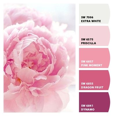 Paint colors from Chip It! by Sherwin-Williams Sarah Renee Clark, Peony Color Palette, Colors With Hex Codes, Sarah Renae Clark, Psychology Wallpaper, Makeup Names, Office Decor Inspiration, Color Mood Board, Peony Colors