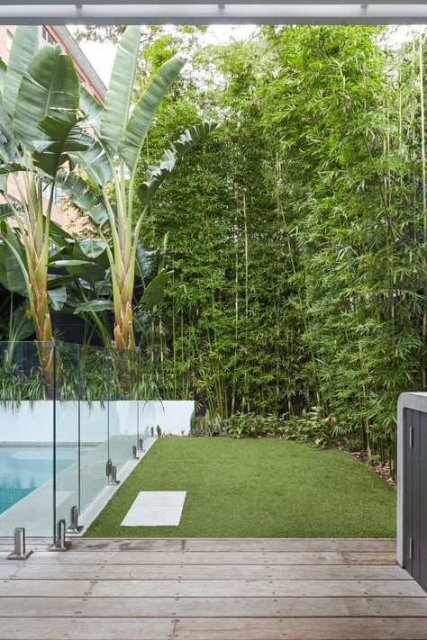 If you're looking for a natural way to keep nosy neighbours out of your backyard, planting some bamboo is a great option. The tall stalks make for a lush and leafy privacy screen that'll have you feeling like you're in your own little world. Bamboo In Garden Design, Bamboo Hedge Privacy Screens, Screen Neighbours Backyard Privacy, Tropical Screening Plants, Tall Screening Plants, Privacy Landscaping Small Yard, Tropical Privacy Landscaping, Tall Tropical Plants, Bamboo Screening Ideas