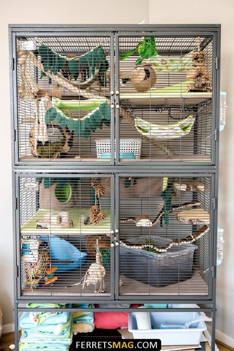 Pet Rat Cages Ideas, Rat Cage Ideas Diy, Rat Cage Setup, Rat Enrichment, Rat Cage Ideas, Rat Cage Diy, Diy Rat Toys, Pet Rat Cages, Critter Nation Cage