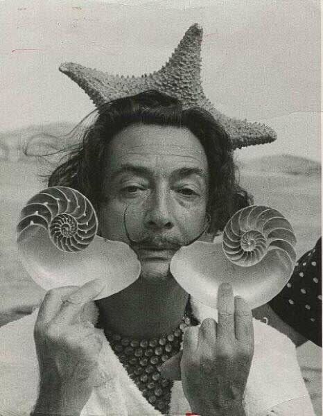 Seashells - Minnie Muse Salvador Dali Art, Dali Art, Max Ernst, Rene Magritte, Joan Miro, Salvador Dali, Famous Artists, Dali, Sacred Geometry