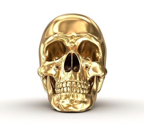 Metal Drawing, Skull Reference, I Love Gold, Gold Tattoo, Photoshop Design Ideas, Metal Tattoo, Full Body Tattoo, Gold Skull, Call Art