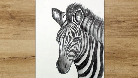 Zebra Drawing Step By Step, Zebra Easy Drawing, Zebra Drawing Sketches Pencil, Zebra Cartoon Drawing, Zebra Face Drawing, Sketch Step By Step, Head Step By Step, Zebra Drawing, Ako Kresliť