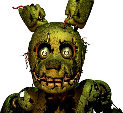 Springtrap Pole Bear, Freddy 3, Spring Coloring Pages, Animatronic Fnaf, William Afton, Purple Guy, Spring Activities, Fnaf Drawings, Fnaf Art