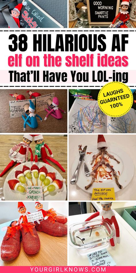 If there is one tradition I absolutely adore during Christmas, it is elf on the shelf. And with these easy else on the shelf ideas, you're family will be lol-ing so hard! Easy Elf On The Shelf Ideas 3 Elves, Gross Elf On The Shelf Ideas, Elf On The Shelf Dinner Ideas, Ways To Bring Back Elf On The Shelf, Xmas Eve Elf On The Shelf Ideas, Elf On The Shelf Cereal Toilet, Elf On The Shelf Dog Treats, Elf Antics Funny, Elf Arrival For Older Kids