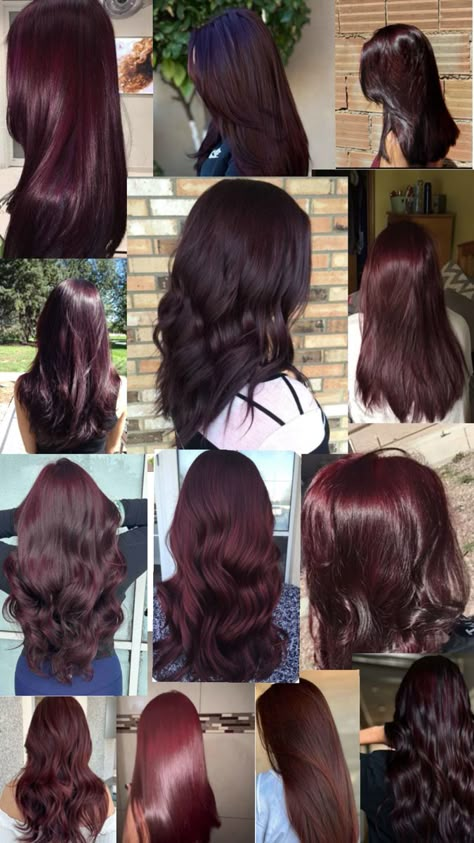 Brown Red Purple Hair, Brown Hair With Cherry Red Highlights, Red Hair Dye On Brown Hair, Violet Red Brown Hair Color, Brown Red Violet Hair, Dark Burgundy Brown Hair, Dark Mahogany Hair Color, Dark Brown Hair Violet Undertones, Deep Wine Hair Color