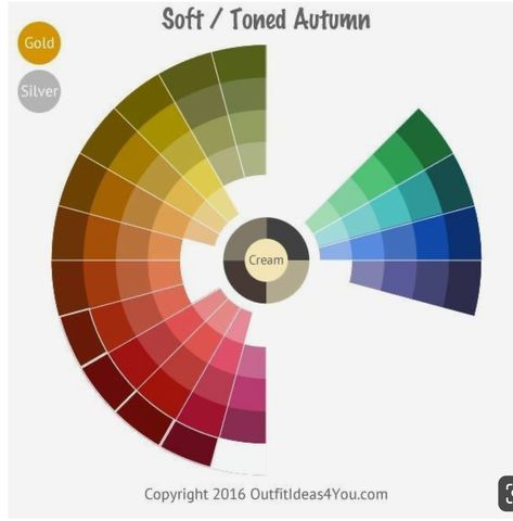 Autumn Color Wheel, Toned Autumn, Soft Autumn Deep, Soft Autumn Palette, Soft Autumn Color Palette, Colour Wheel, Warm Palette, Deep Autumn, Seasonal Color Analysis