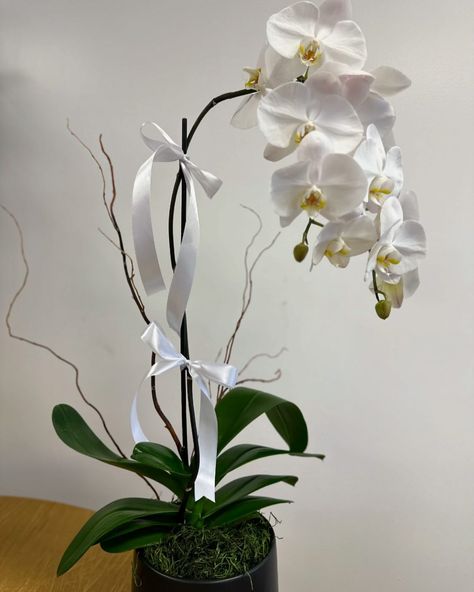 Adding a touch of elegance to the guest signing table with this stunning orchid arrangement! ✨ Perfect for any occasion, whether it’s a special event, a gift, or simply to brighten up your space. These graceful blooms bring a sophisticated charm that fits every setting. 🌸🤍 📞: 407-757-2001 🖥️: marketgardenfloralco.com 💐: 1418 N Semoran Blvd Ste 130 Orlando Fl 32807 #ElegantFlorals #OrchidBeauty #orchidslovers #orchidlover #florist #weddingarrangements #weddingflowers #orlandofl #delive... Guest Signing Table, Guest Signing, Orchid Arrangements, Wedding Arrangements, The Guest, Table Signs, Orlando Fl, Special Event, Special Events