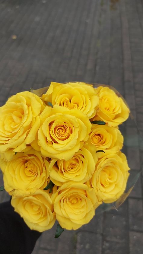 Love yellow roses 💛 #flowers #yellowroses #roses Yellow Flower Aesthetic, Yellow Roses Wedding, January Flowers, Yellow Flowers Bouquet, Yellow Rose Bouquet, Blue Roses Wallpaper, Yellow Rose Flower, Roses Yellow, Beautiful Flowers Images