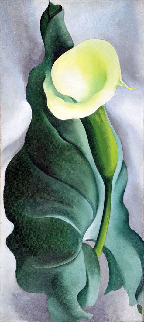 Georgia O'keefe Art, Georgia O Keeffe Paintings, O Keeffe Paintings, Georgia Okeeffe, Inspiring Artwork, Abstract Impressionism, Georgia Okeefe, Alfred Stieglitz, Georgia O Keeffe