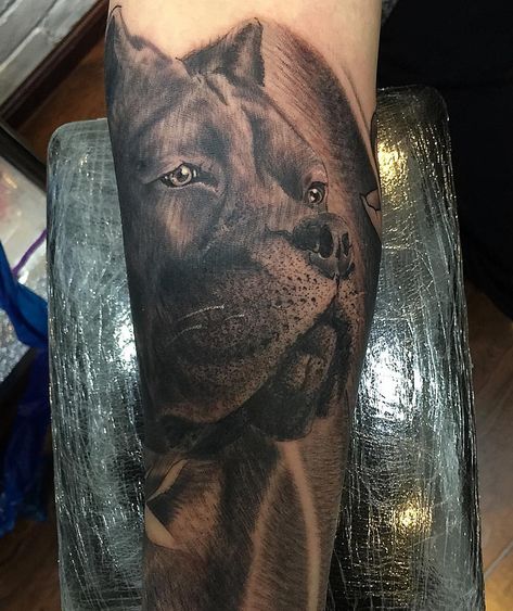 Photo by (iampatelepentoo) on Instagram | #canecorso #dog #doglover #tattoo #tat#black#blackandwhite #armtattoo #doggy Cane Corso Dog Tattoo, Came Corso Tattoo, Cane Corso Tattoo Ideas, Cane Corso Tattoo, Dog Outline Tattoo, Black Cane Corso, Animal Magazines, Arm Tats, Dog Outline