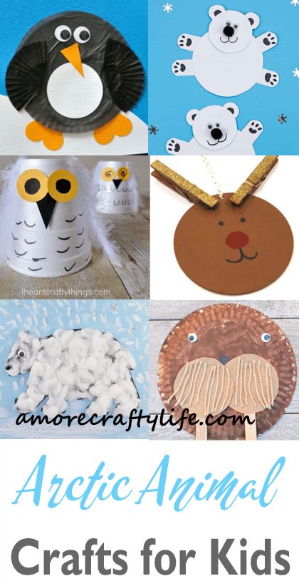 arctic animal craft for kids- arts and crafts activities - winter animal kid craft- amorecraftylife.com #kidscraft #craftsforkids #preschool Winter Animal Crafts For Kids, Seal Crafts For Kids, Arctic Animal Craft, Arctic Crafts, Arctic Animal Crafts, Animal Craft Ideas, Snowy Owl Craft, Fox Craft, Arctic Animals Crafts