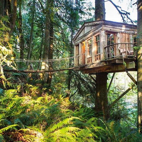 More and more people are building creative treehouses for use as hotels, restaurants, teahouses, or occasionally as a means of communicating with extraterrestrials (seriously! -- see the Beach Rock Treehouse below). Treehouse Point, Treehouse Masters, Treehouse Hotel, Tree Fort, Fall City, Washington Travel, Tree House Designs, Deco Boheme, Tea House