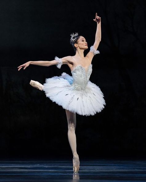 Swan Lake Ballet, Ballet Images, Australian Ballet, Dance Inspiration, Ballet Beauty, Ballet Poses, Ballet Core, Ballet Photos, Classical Ballet