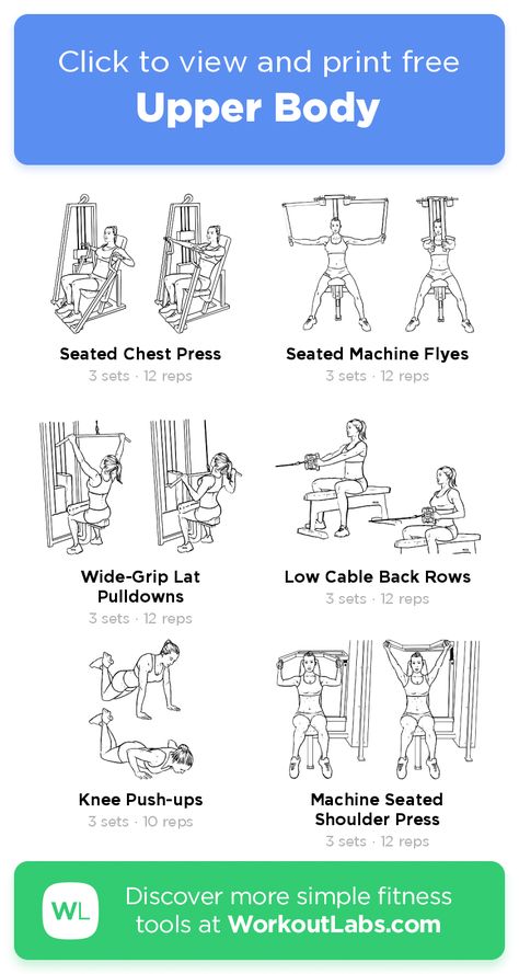 Free Workout: Upper Body · WorkoutLabs Fit Lower And Upper Body Workout, Back And Shoulder Workout Gym Machine, Gym Machine Upper Body Workout, Intermediate Upper Body Workout, Upper Body Workout At Gym Machine, Hammer Strength Machine Workout, Upper Body Free Weight Workout, Gym Equipment Workout Routine, Core And Upper Body Workout