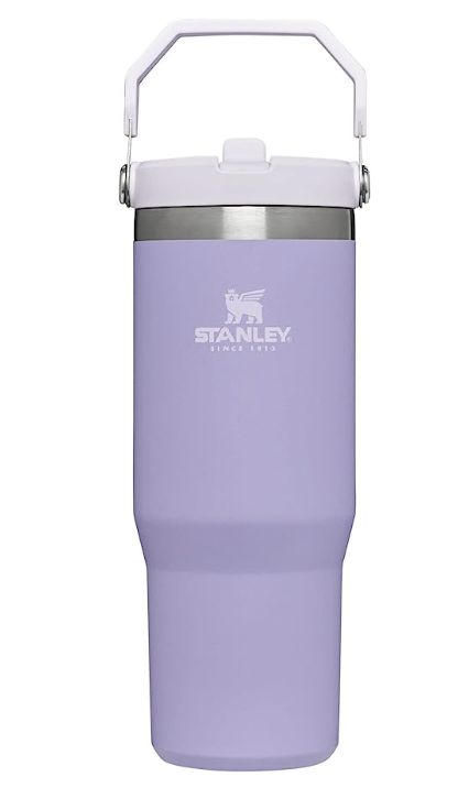 Purple Stanley Cup Flip Straw, Stanley Cup Aesthetic Purple, Lavender Water Bottle, Purple Products Aesthetic, Lavender Stanley Cup, Stanley Cup Purple, Cute Stanley’s, Stanley Purple, Preppy Water Bottle