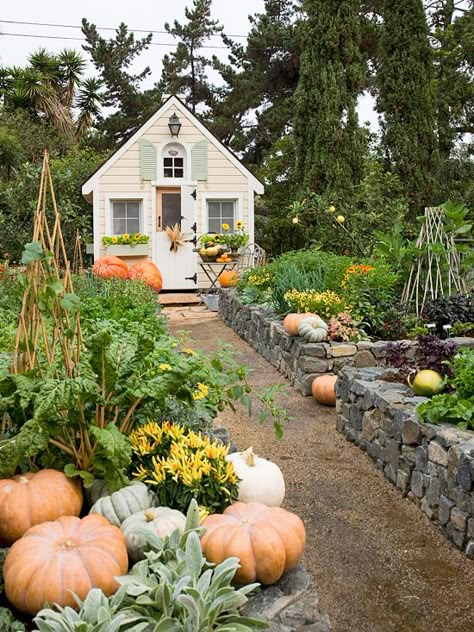 Open for Play Vegetables Garden, Raised Vegetable Gardens, Potager Garden, Have Inspiration, The Secret Garden, Vegetable Garden Design, Veggie Garden, Garden Cottage, Country Gardening