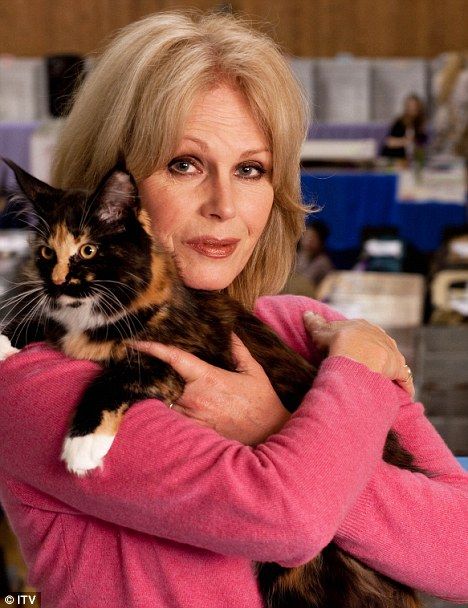 Celebrities With Cats, Patricia Highsmith, Joanna Lumley, Srinagar, Cat People, Cat Person, A Well, Crazy Cat Lady, Beautiful Cats