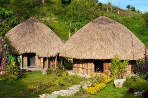 Rumah adat Papua yang sederhana namun penuh filosofi dan sarat fungsi. Ada tujuh jenis rumah adat Papua lengkap yang terkenal. Apa saja? West Papua, Traditional Homes, Traditional Houses, Singapore Travel, Southeast Asia Travel, Island Travel, Tropical Islands, Asia Travel, Traditional House