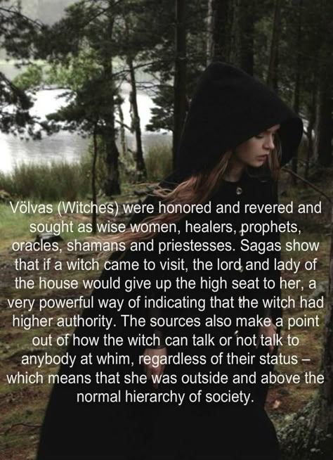 The same could be said for druids. Viking Facts, Baba Jaga, Norse Myth, Norse Pagan, Wicca Witchcraft, Norse Vikings, Wise Women, Magical Art, The Labyrinth