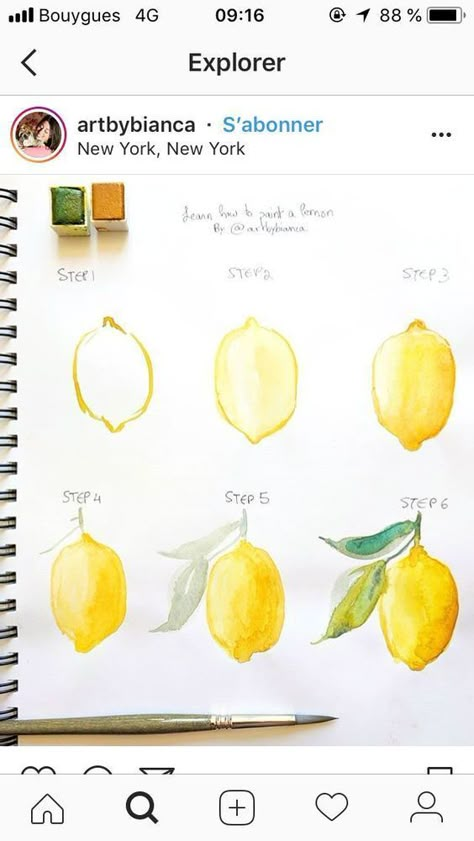 Tracing Pictures, Art Tutor, 귀여운 음식 그림, Watercolour Flowers, Blog Art, Watercolor Paintings For Beginners, Watercolor Fruit, Painting Canvases, Amazing Paintings