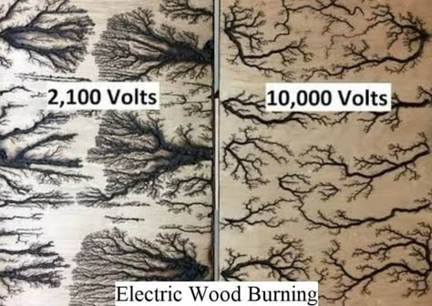 Burning Wood With Electricity, Lichtenberg Wood Burning, Fractal Wood, Fractal Burning, Lichtenberg Figures, Wood Burning Techniques, Woodworking Art, Burning Wood, Wood Art Projects